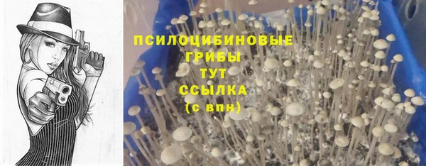 синтетический гашиш Балахна